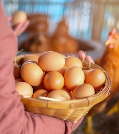 close-up-hand-holding-basket-eggs_1048944-3652498